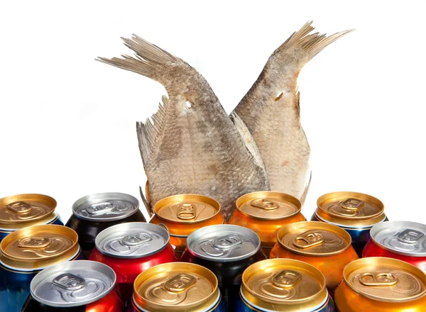 Dried fish and beer — Stock Photo, Image