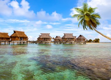 tipik Polinezya peyzaj - üzerinde palmiye ağaçları ve küçük sahil evleri