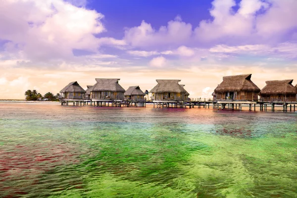 Море з пальмами і маленькими будиночками на воді на заході сонця — стокове фото