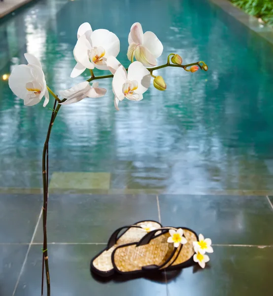 Orquídea y zapatillas (fuera de foco) antes de la piscina — Foto de Stock