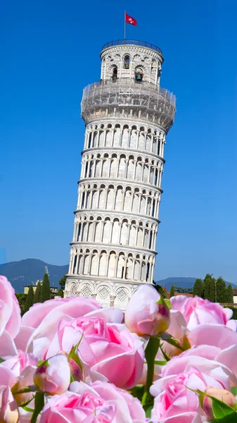 Італія. Піза. Пізанська вежа, що занепадає — стокове фото