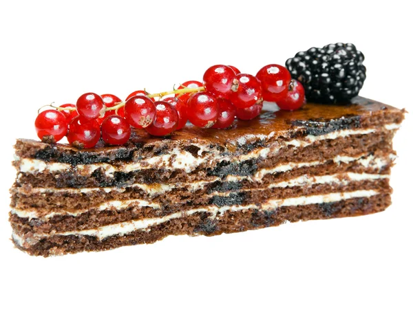 Frenk üzümü ve beyaz zemin üzerine böğürtlen ile çikolatalı kek — Stok fotoğraf