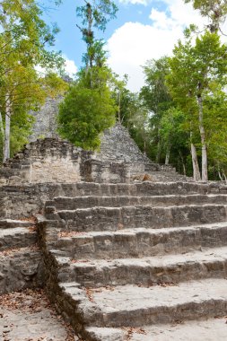 coba Maya harabelerini Meksika