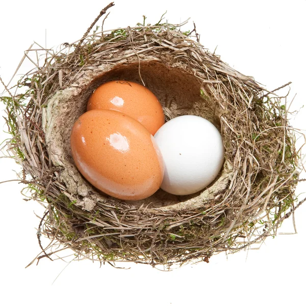Gniazdo, skręcone z trawy z jajkami — Zdjęcie stockowe