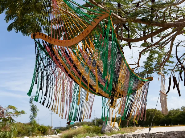 Mexico. A traditional hammock — Stockfoto