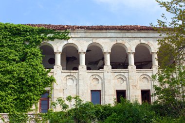 yeşillikleri ile büyüdü terk edilmiş evde