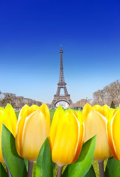 Tour Eiffel and tulips in the foreground. France, Paris. — Stock Photo, Image