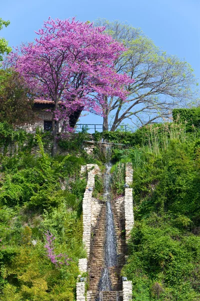 Blühende Bäume auf einem Hügel und künstliche Wasserfälle — Stockfoto