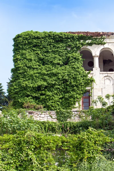 Abandoned house which has grown with greens — Stock Photo, Image