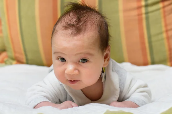 Cute baby portrait — Stock Photo, Image