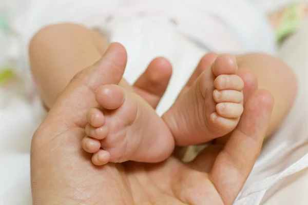 Baby voet — Stockfoto