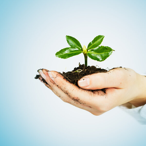 Малые растения
