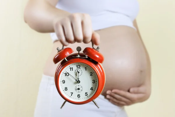 Pregnant woman belly — Stock Photo, Image