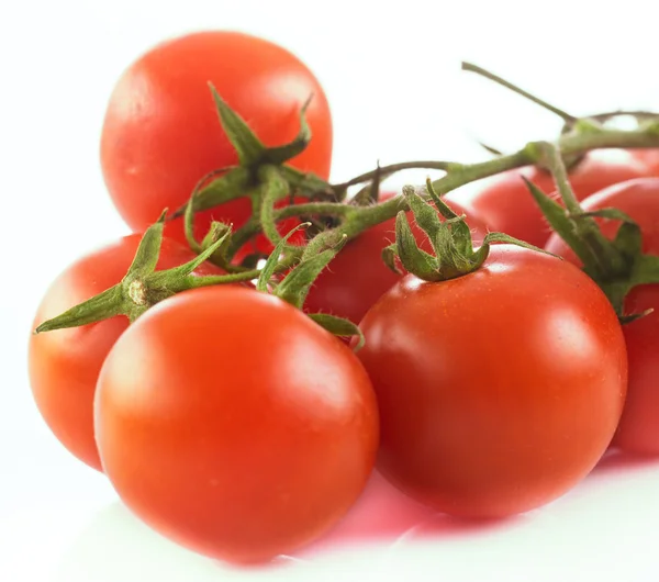 Tomate cerise fraîche — Photo