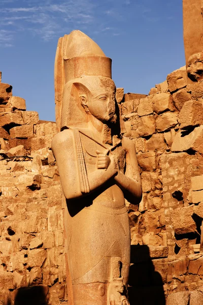 Ramses heykeli — Stok fotoğraf