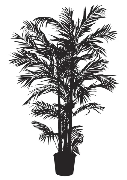 Bambou, arbre — Image vectorielle
