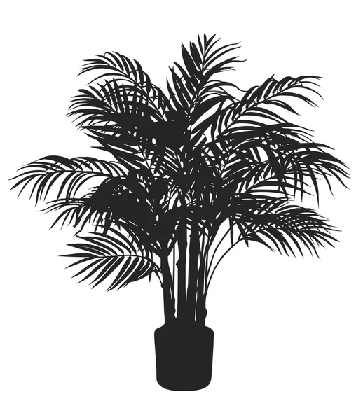 Bambou, arbre — Image vectorielle