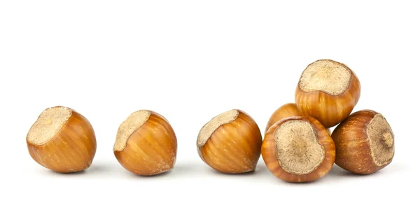 Hazelnuts Composition — Stock Photo, Image
