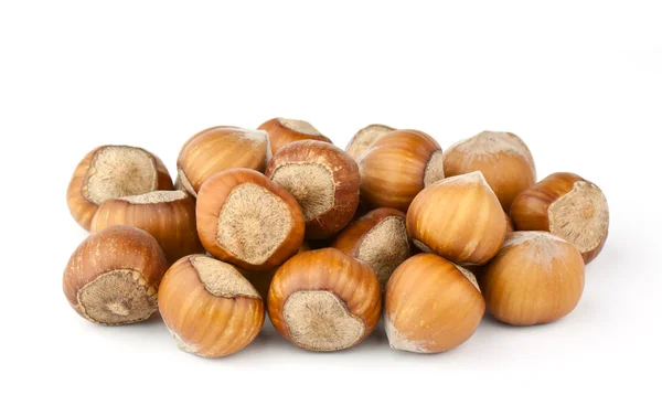 Lískové ořechy složení — Stock fotografie