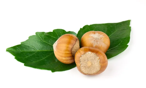 Lískové ořechy složení — Stock fotografie