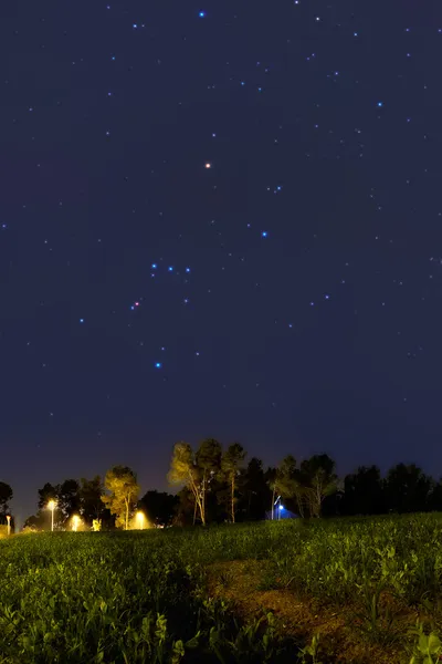 Orion-Sternbild geht in der Abenddämmerung unter — Stockfoto