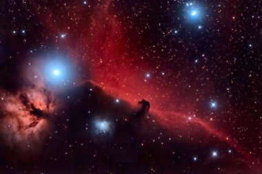 Horsehead Nebula and Flaming Tree in the Constellation Orion clipart
