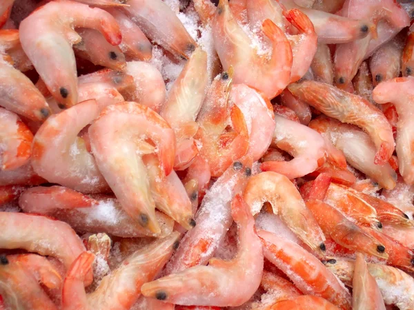 Crevettes congelées — Photo