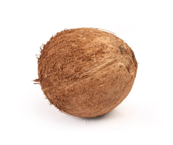 Коричневий кокосового — стокове фото