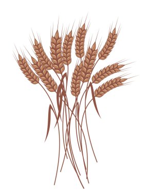 Wheats clipart