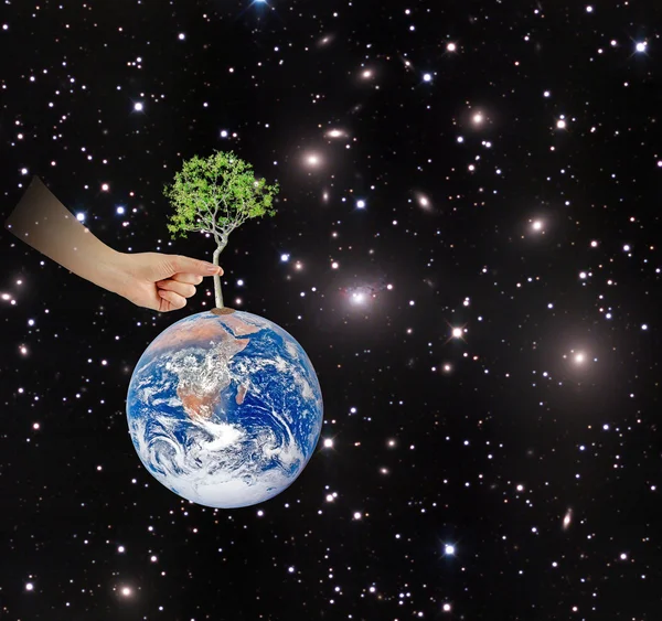 Tree on Earth as a symbol of peace.Elements of this image furnis — Stock Photo, Image