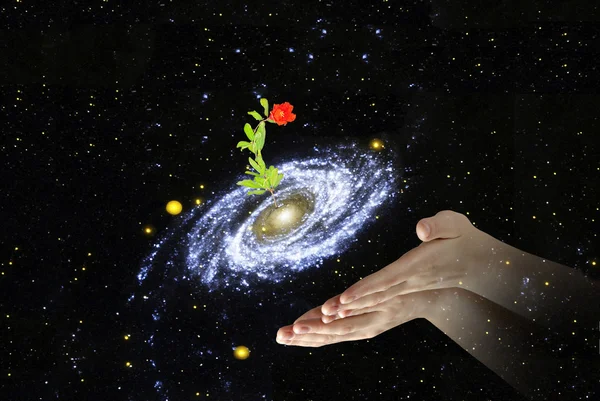 Kwiat w centrum galaxy.elements ten obraz dostarczony przez — Zdjęcie stockowe