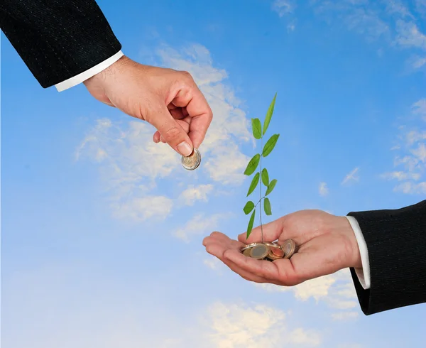 stock image Palm with a tree growng from pile of coins