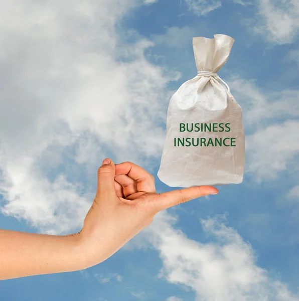Taška s podnikání pojištění — Stock fotografie