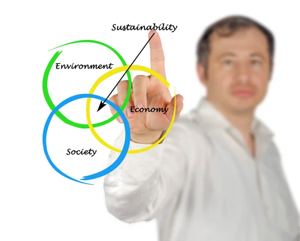 Presentazione del diagramma di sostenibilità — Foto Stock