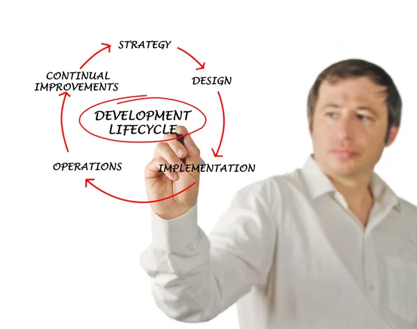 Presentation of development lifecycle — Stock Photo, Image