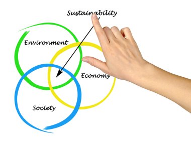 Presentation of diagram of sustainability clipart