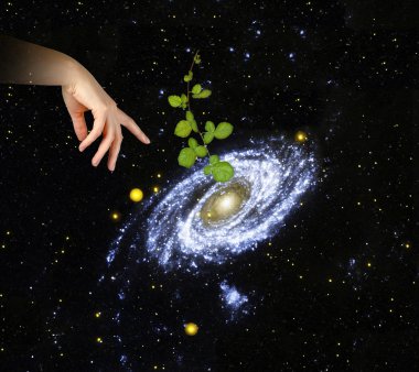 Plant at center of galaxy.Elements of this image furnished by NA clipart