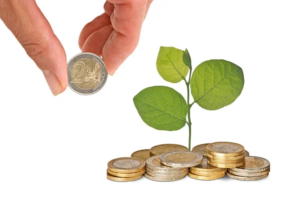 Investeringar till gröna affärer — Stockfoto
