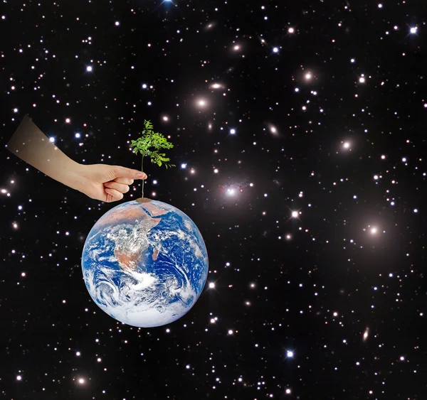Tree on Earth as a symbol of conservation.Elements of this image — Stock Photo, Image