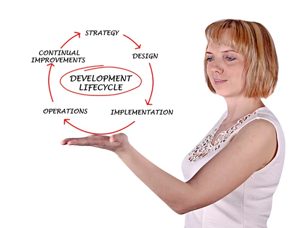 Diagrama do ciclo de vida do desenvolvimento — Fotografia de Stock