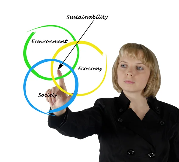 Darstellung des Diagramms der Nachhaltigkeit — Stockfoto