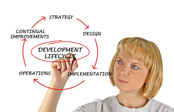 Diagrama do ciclo de vida do desenvolvimento — Fotografia de Stock