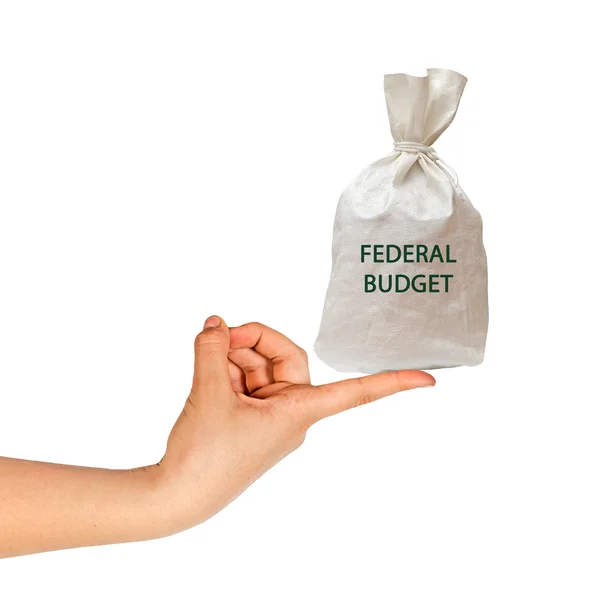 Väska med budget — Stockfoto