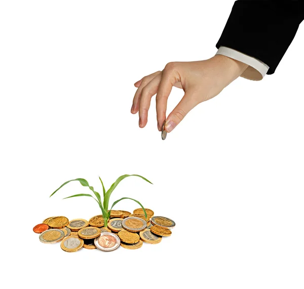 Investing to agriculture — Stock Photo, Image