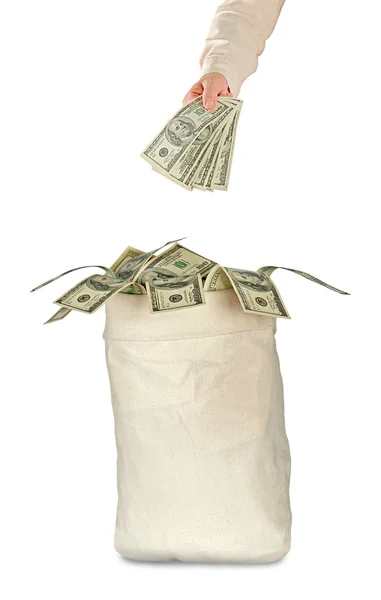 Τσάντα με δολάρια — Φωτογραφία Αρχείου