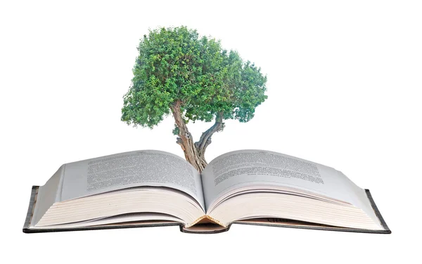 本书从生长的树 — 图库照片