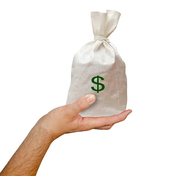 Ruka s taškou dolarů — Stock fotografie