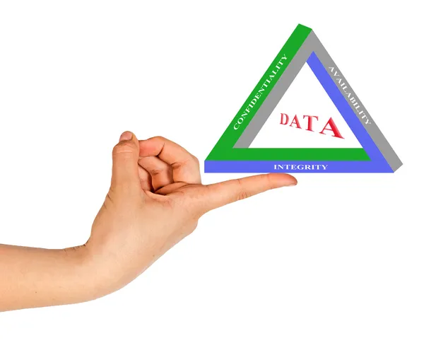 Principes de gestion des données — Photo