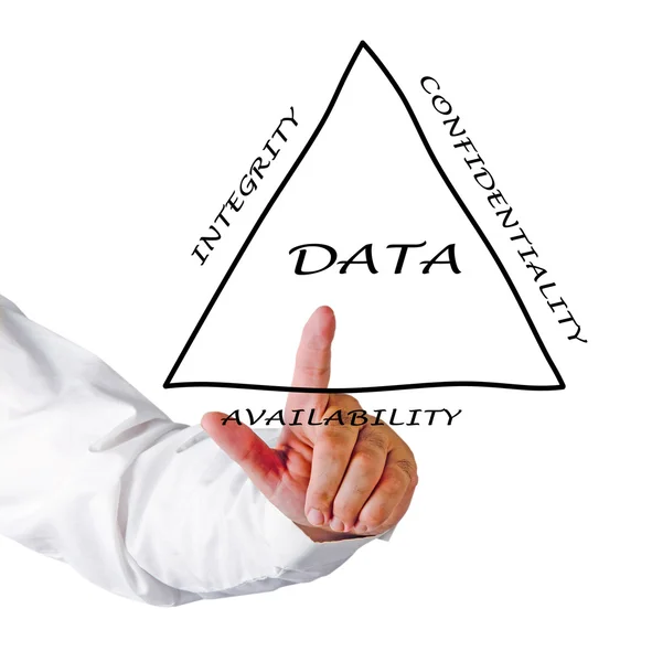 데이터 관리의 원칙 — 스톡 사진