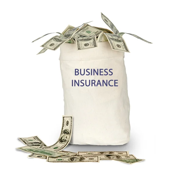Bag with business insurance — Stock Photo, Image